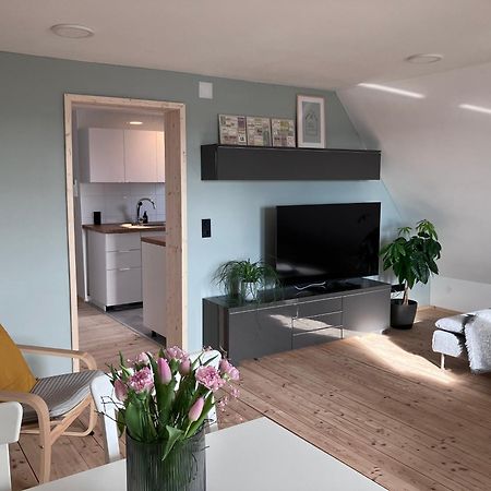 Ferienwohnung Weitblick Bad Schussenried Eksteriør bilde